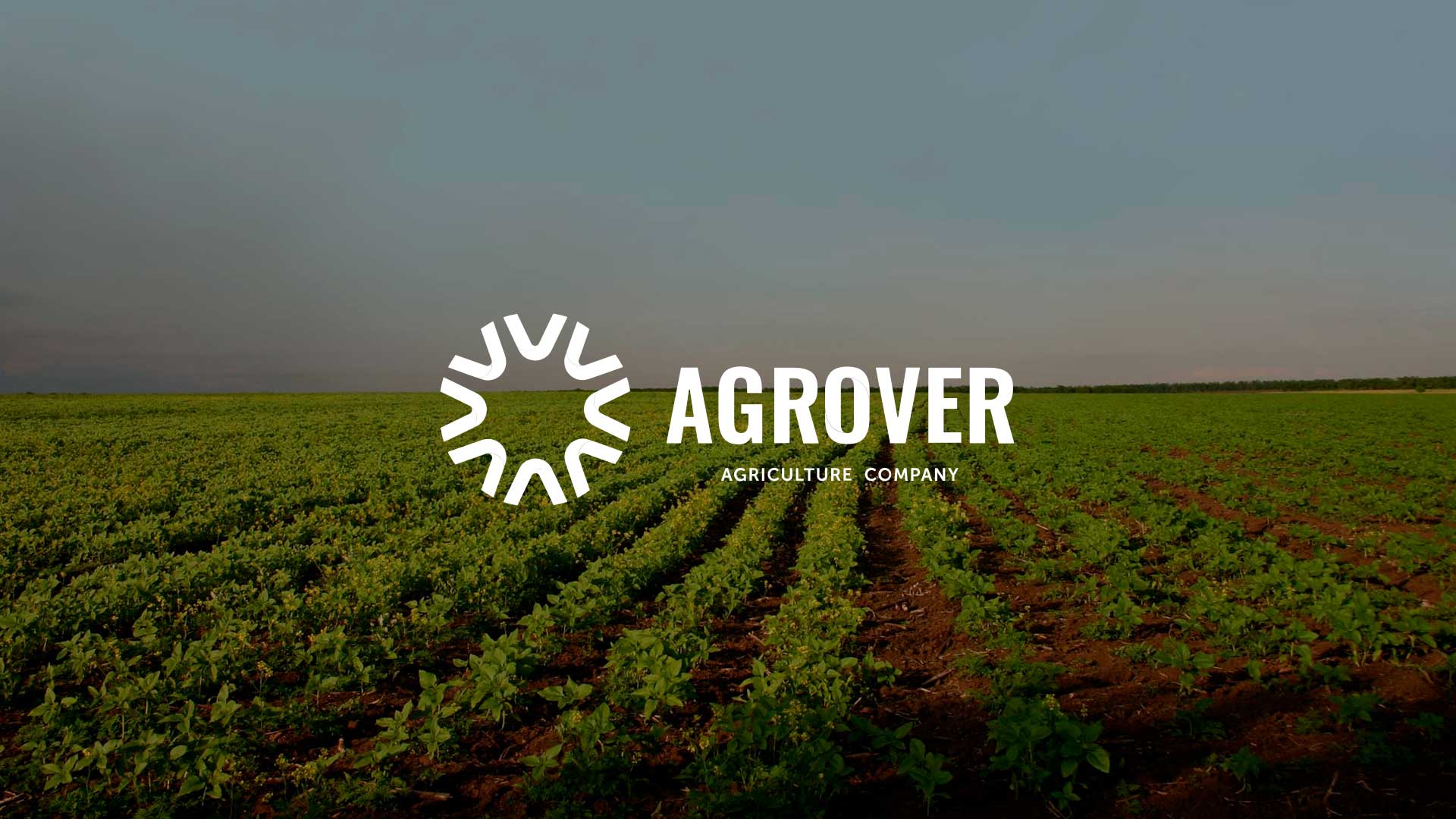 Портфолио ALEX ITS