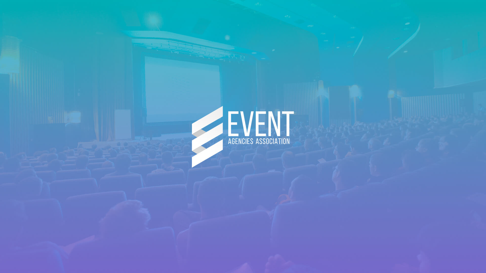 Портфолио ALEX ITS